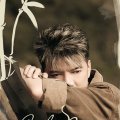 Demo album nhạc Trịnh 