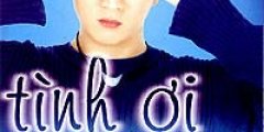 Tình ơi xin ngủ yên