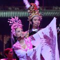 Mr.Đàm trong vòng vây mỹ nhân.